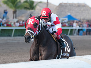 Bernie the Maestro wins the 2012 Claiming Crown Rapid Transit.