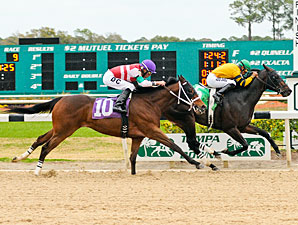 Bert B Don (left), 2nd in the Pasco Stakes.