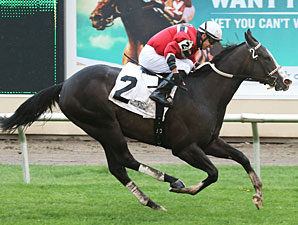 Bet Seattle wins the 2013 Honor the Hero Stakes.