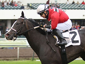 Bet Seattle wins the 2013 Honor the Hero Stakes.