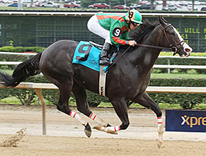 Bet Seattle wins the 2014 West Virginia Legislature Chairman's Cup Stakes.