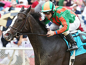 Bet Seattle wins the 2014 West Virginia Legislature Chairman's Cup Stakes.
