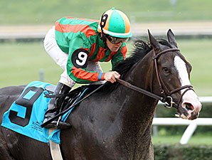 Bet Seattle wins the 2014 West Virginia Legislature Chairman's Cup Stakes.