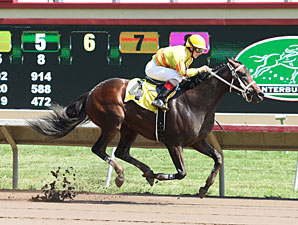 Bet Your Life wins the 2013 MTA Stallion Auction Laddie Stakes.