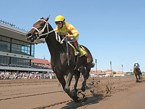 Bet Your Life wins the 2013 MTA Stallion Auction Laddie Stakes.
