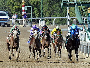 Better Bet wins the 2013 Golden State Juvenile.