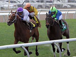 Beverly Belle wins the 2012 Red Camelia Stakes.