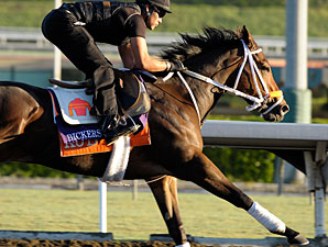 Bickersons at the 2009 Breeders' Cup