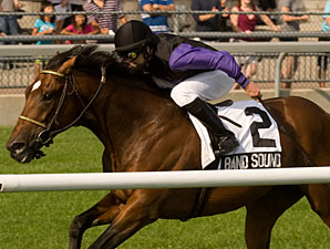 Big Band Sound wins the 2012 Play the King Stakes.