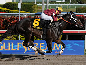 Big Drama wins the 2011 Mr. Prospector.