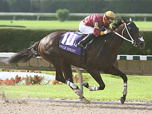 Big Drama wins the 2010 Smile Sprint Handicap.