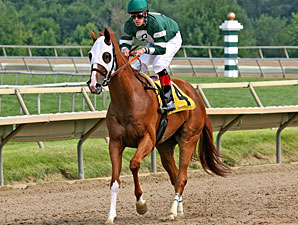 Big Feat wins the 2013 Crowd Pleaser Handicap.
