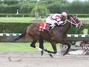 Bim Bam wins the 2009 Foolish Pleasure.