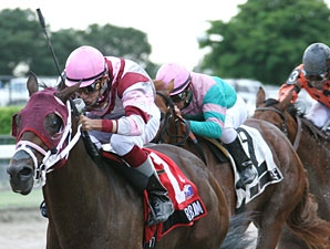 Bim Bam wins the 2009 Foolish Pleasure.