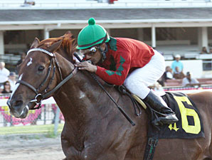 Birdrun wins the 2010 Carl G. Rose Classic.