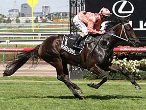 Black Caviar in the Newmarket Handicap, 2011.