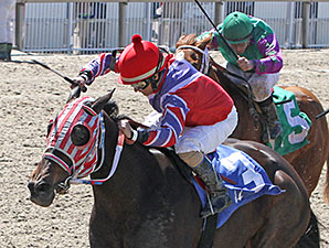 Blading Wild Cat wins the 2014 Crescent City Oaks.