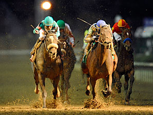 Blame wins the 2010 Breeders' Cup Classic.