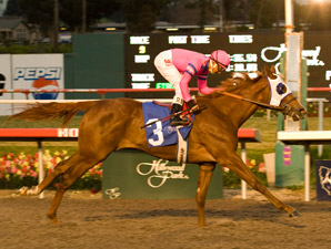Blind Luck wins the 2009 Starlet.