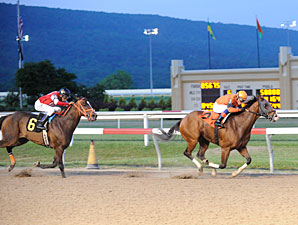 Blue Mountain Cat wins the 2013 Penn Dash.