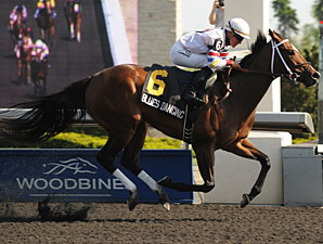 Blues Dancing wins the 2012 Lady Angela Stakes.