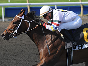 Blues Dancing wins the 2012 Lady Angela Stakes.