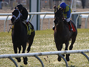 Blues Street (LEFT) with Javier Castellano aboard wins the Grade III $100,000 Fair Grounds Handicap at Fair Grounds.  