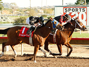 Blumin Beauty wins the 2010 Mesa Handicap.