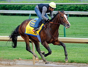 Bodemeister works 4/29/2012 at Churchill Downs