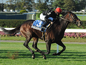 Boisterous wins the 2012 Knickerbocker.