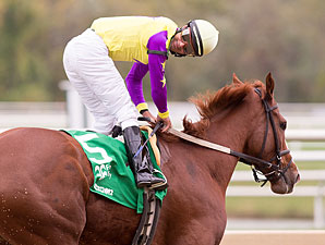 Bold Affair wins the 2012 Maryland Million Distaff.