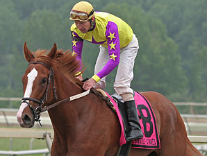 Bold Affair wins the 2011 Jostle Stakes.