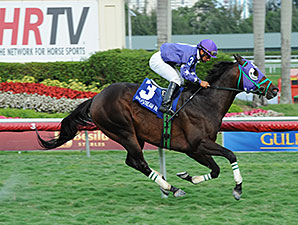 Bold Thunder wins the 2014 Silks Run Stakes.