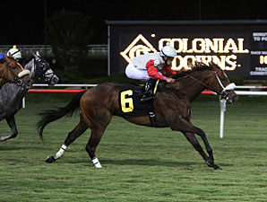 Boltin' Out wins the 2013 Punch Line Stakes.