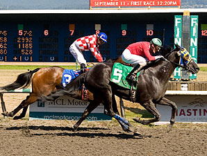 Bonboni in the Express Stakes from Hastings.