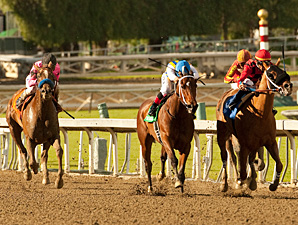 Book Review wins the La Brea Stakes.