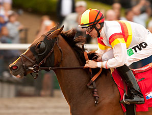 Bourbon Bay wins the 2011 Cougar II.