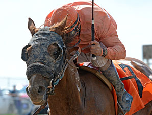 Bourbon Pride wins the Colorado Derby.