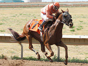 Bourbon Pride wins the Colorado Derby.