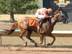 Bourbon Pride wins the Colorado Derby.