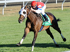 Brass Hat wins the 2010 Sycamore.