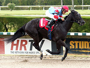 Brave Dave wins the 2012 Jack Price Juvenile.