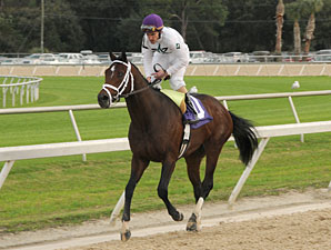 Brethren wins the 2011 Sam F. Davis.