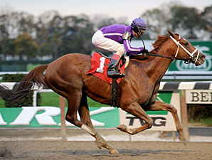 Bribon wins the 2010 Bold Ruler.