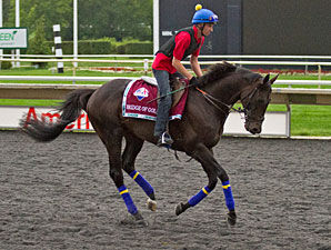 Bridge of Gold - Arlington Park, August 16, 2012.