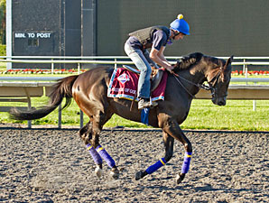 Bridge of Gold - Arlington Park, August 17, 2012.