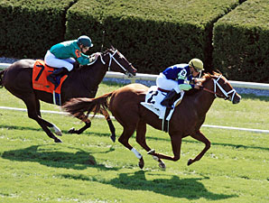Bridgetown wins the 2012 Woodford.