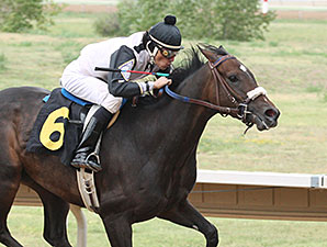 Bridlewood Angel wins the 2014 CTBA Breeders Oaks.