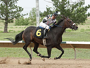 Bridlewood Angel wins the 2014 CTBA Breeders Oaks.