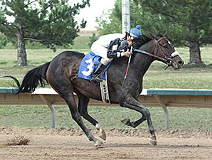 Bridlewood Angel wins the 2014 Spicy Stakes.